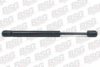 BSG BSG 65-980-007 Gas Spring, boot-/cargo area